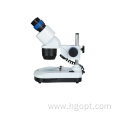 SWF10X Optical Stereo Binocular Microscope With LED Light